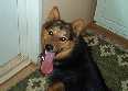 Rolle