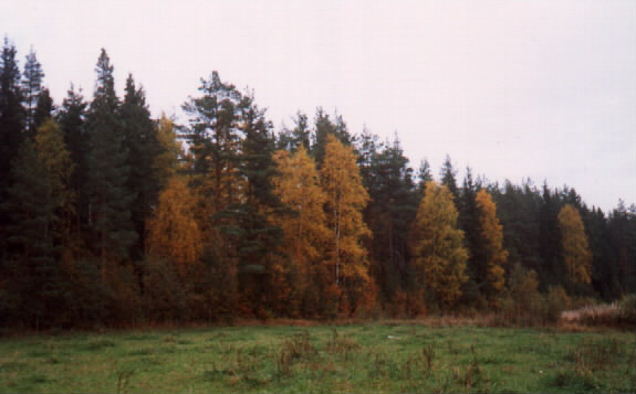 Syksy