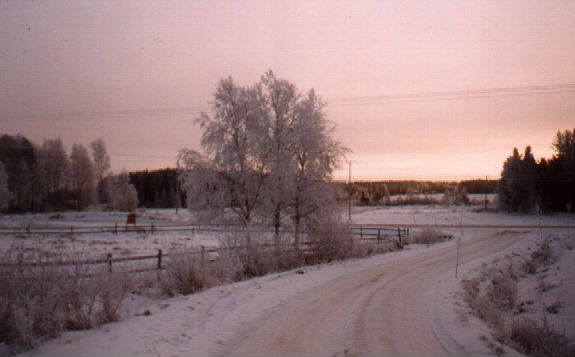 Talvi