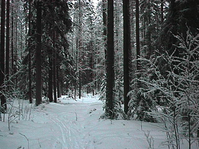 Joulukuu 1998