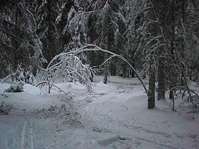 Joulukuu 1998