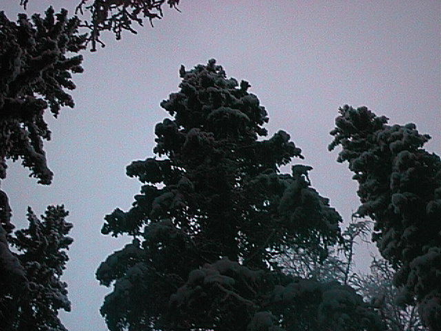 Joulukuu 1998