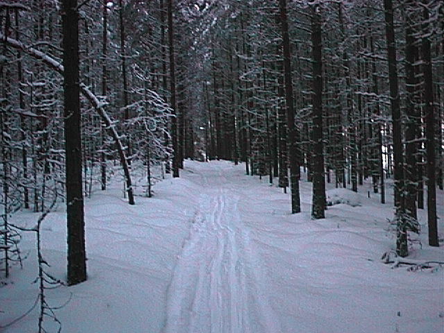 Joulukuu 1998