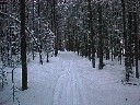 Joulukuu 1998